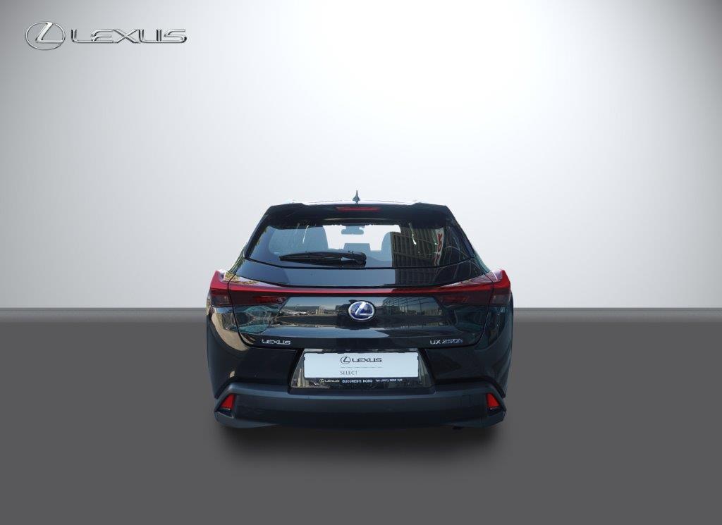 😊 Lexus ux;hybrid; hybrid