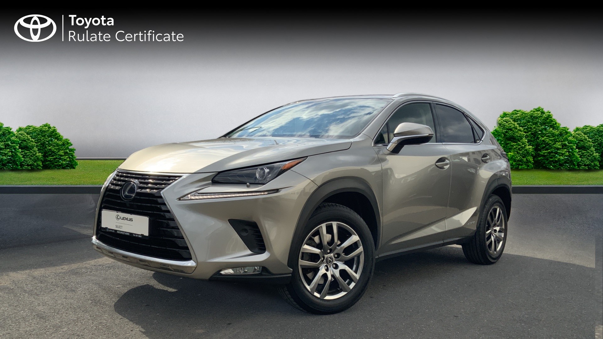 😊 Lexus NX