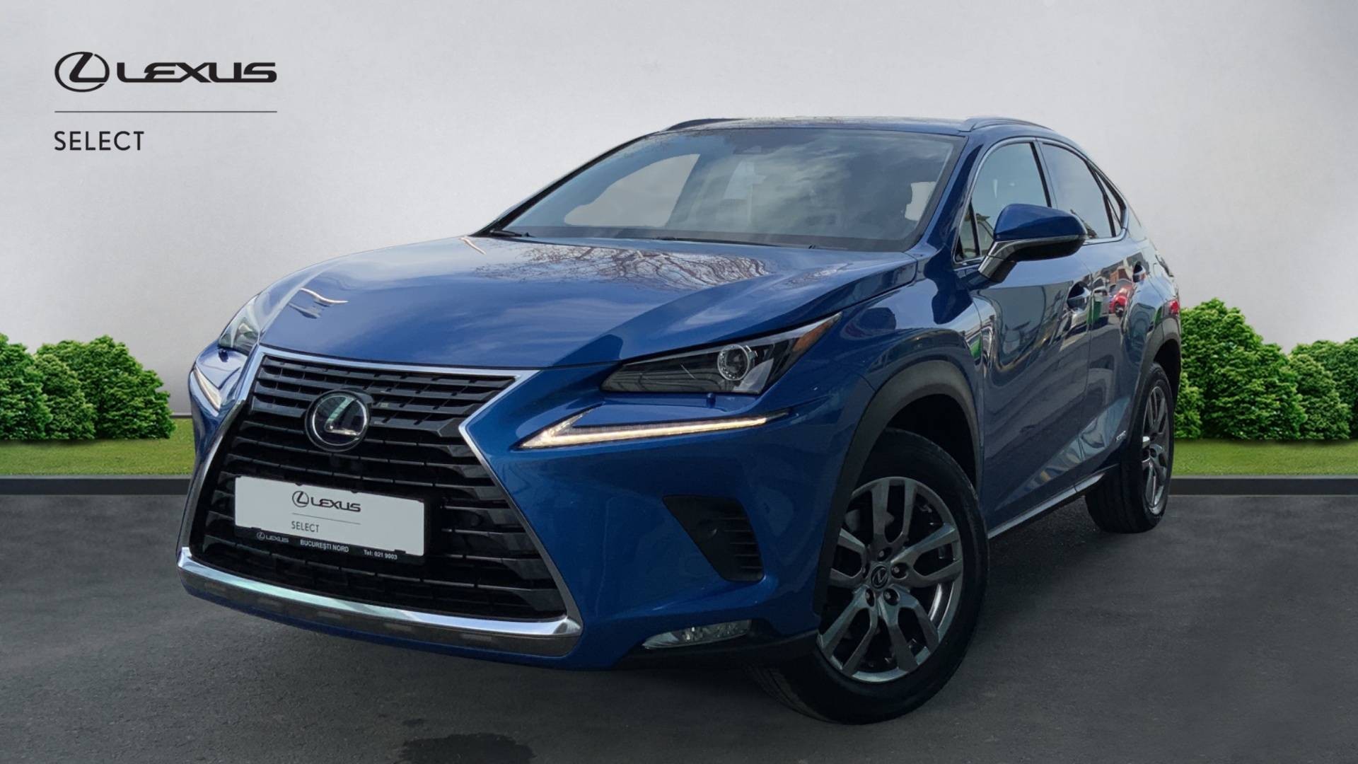 😊 Lexus NX