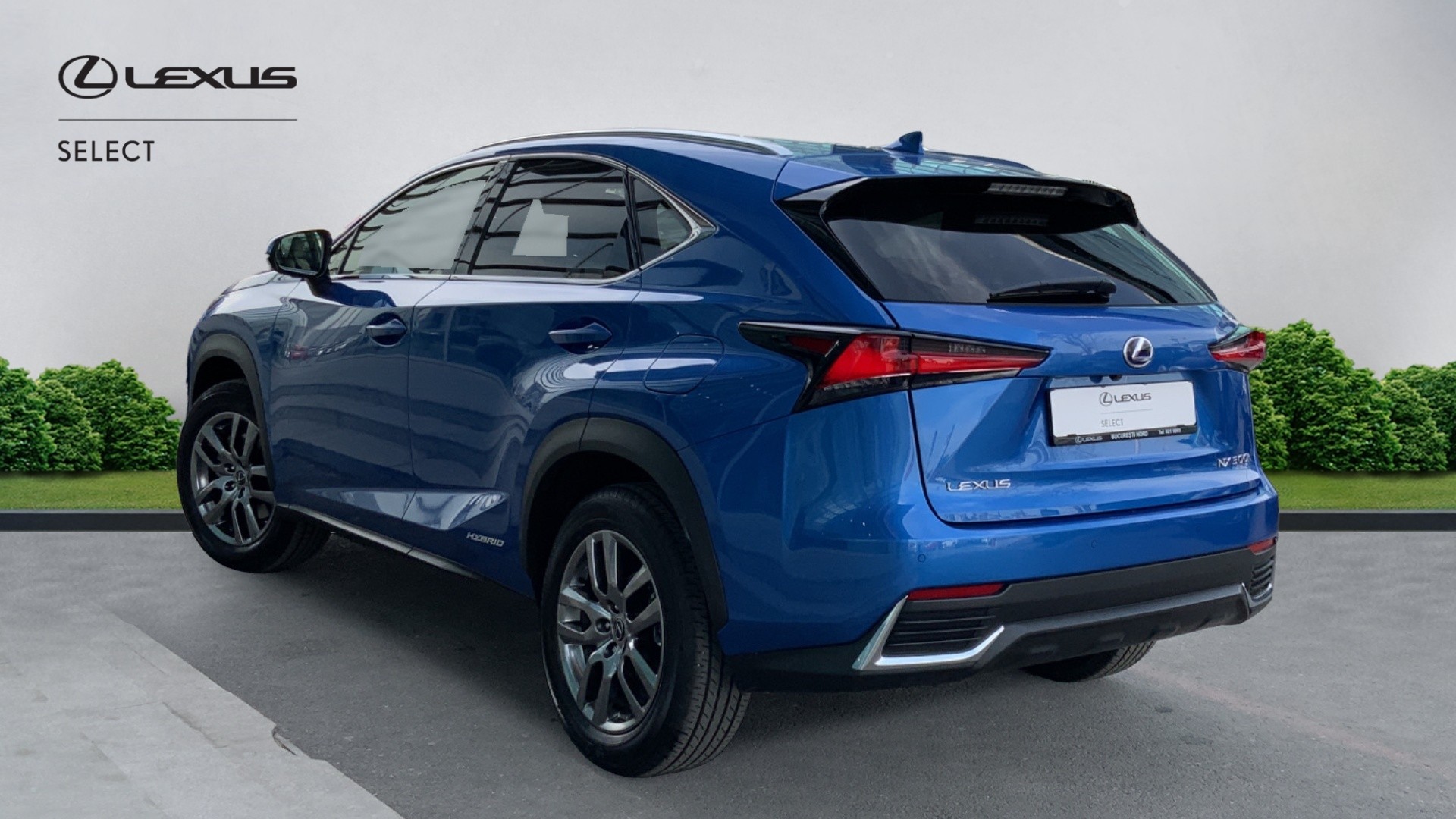 😊 Lexus NX