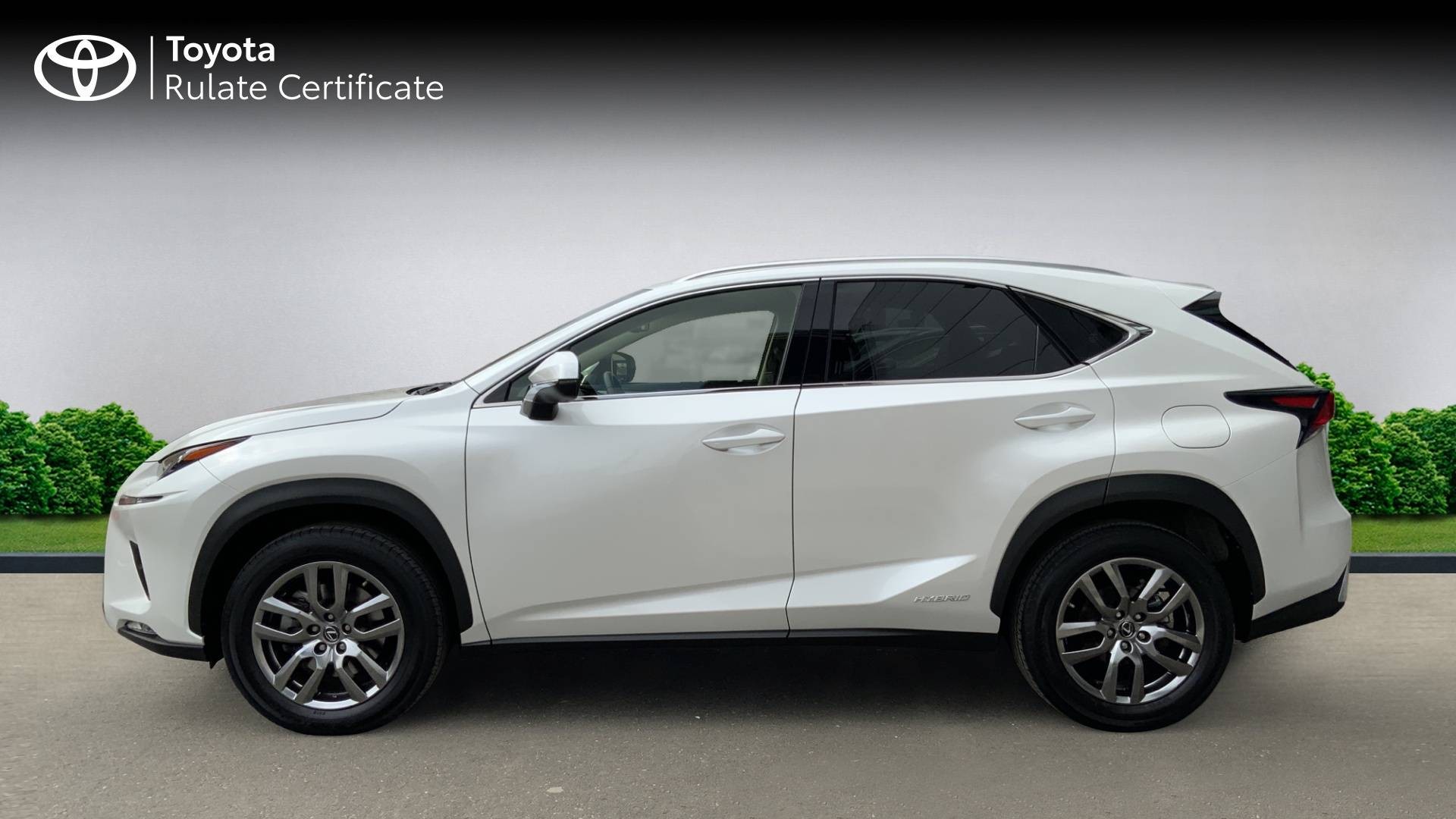 😊 Lexus nx; hybrid; hybrid