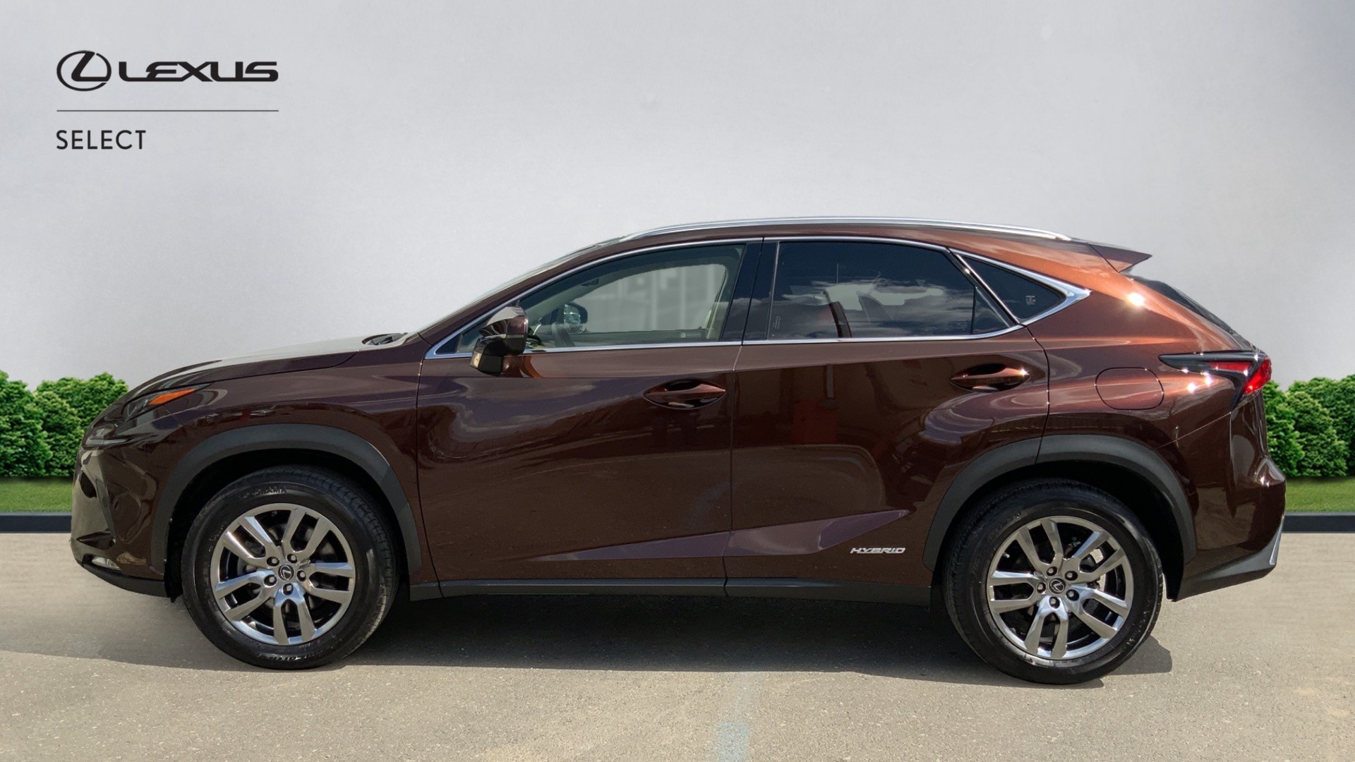 😊 Lexus NX