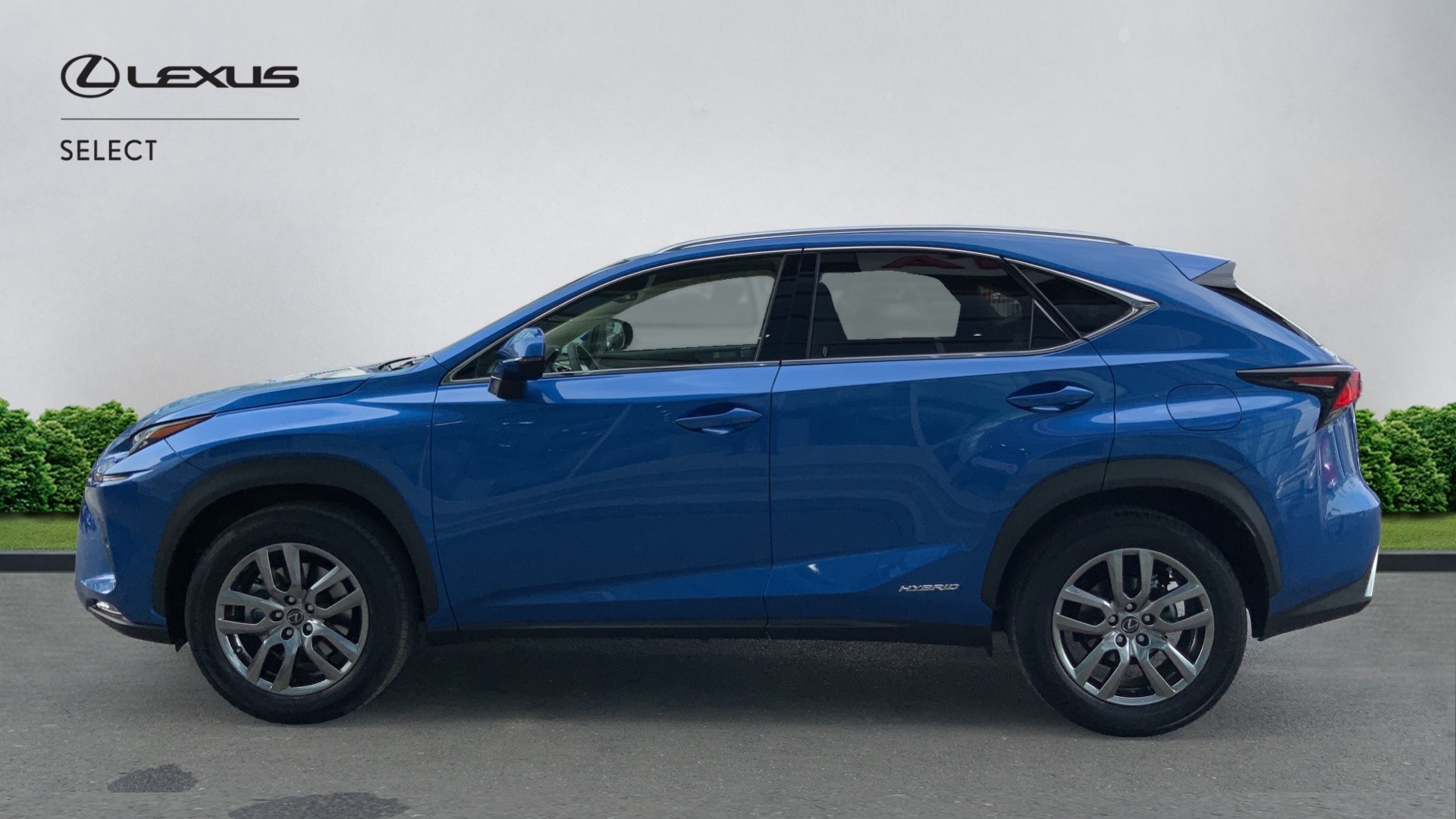 😊 Lexus NX