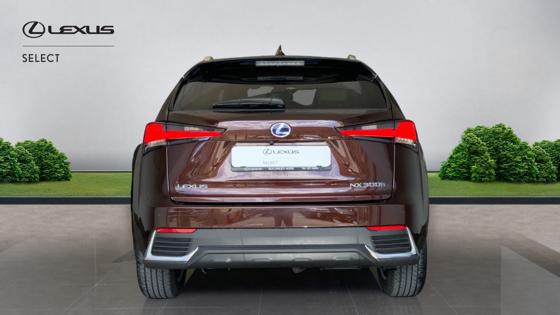 😊 Lexus NX