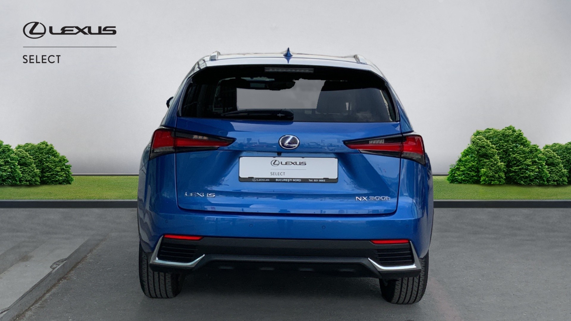 😊 Lexus NX