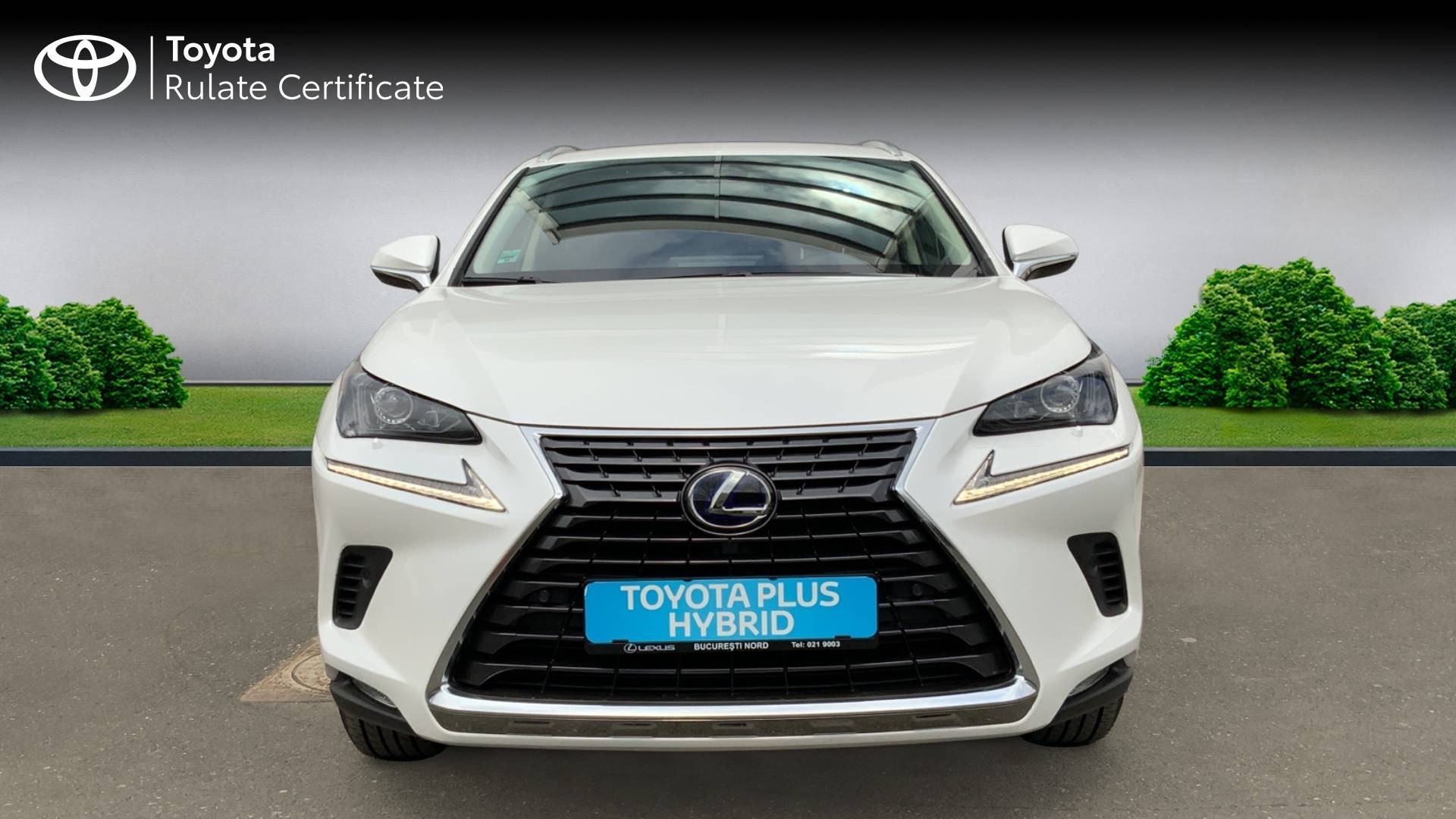 😊 Lexus nx; hybrid; hybrid