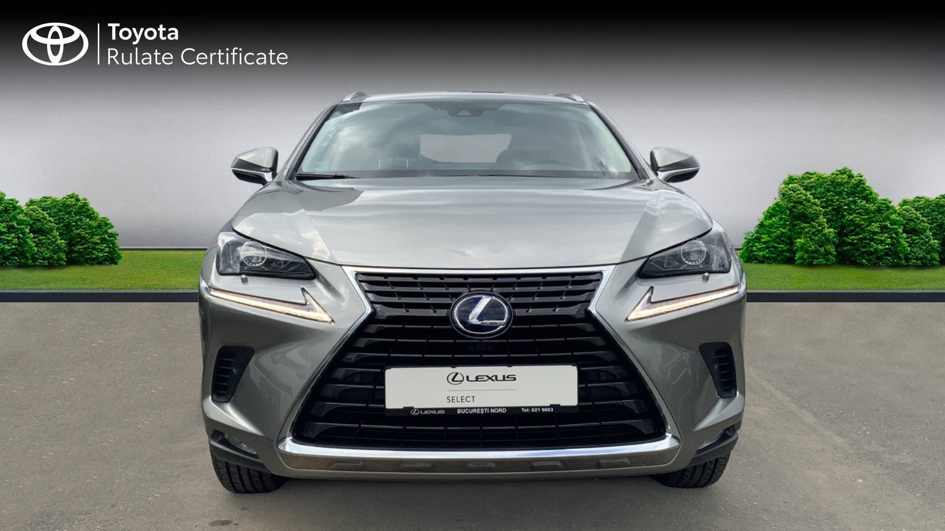 😊 Lexus NX