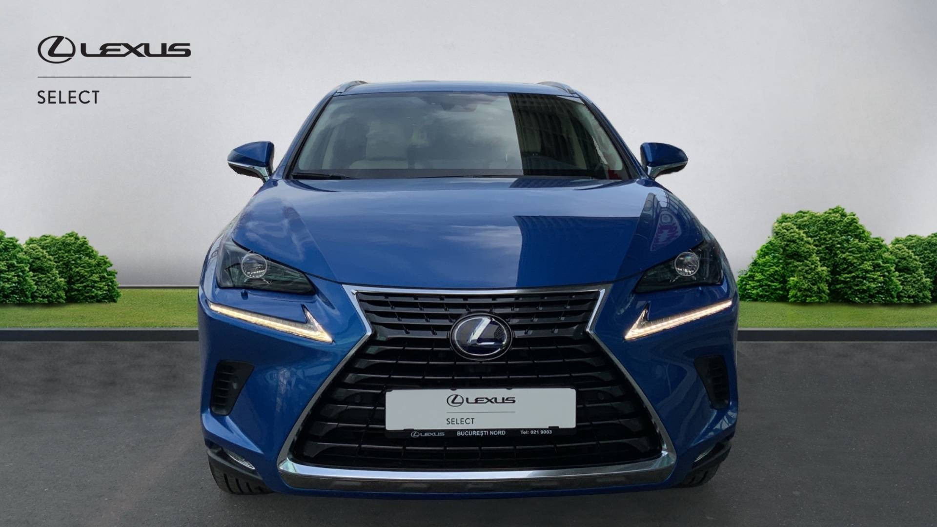 😊 Lexus NX
