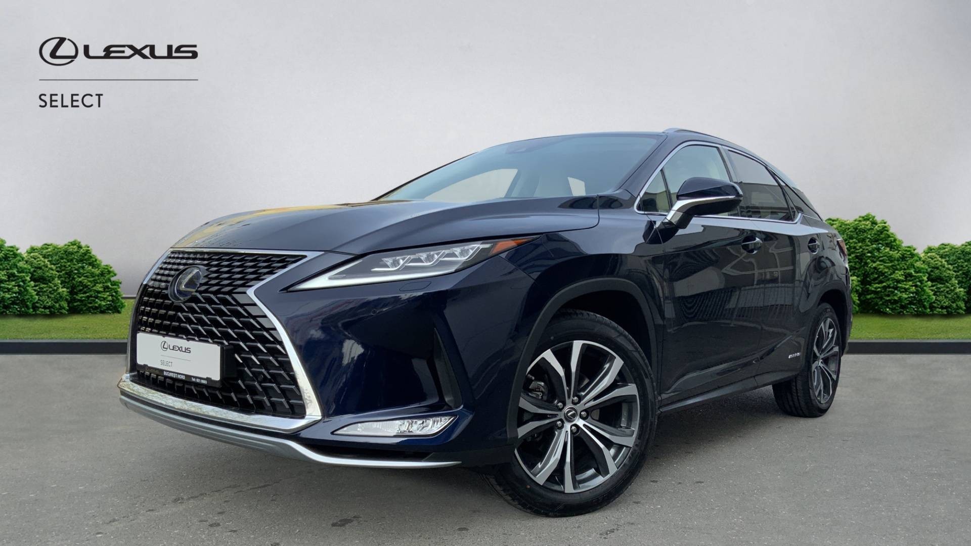 😊 Lexus RX ; 450; Hibrid