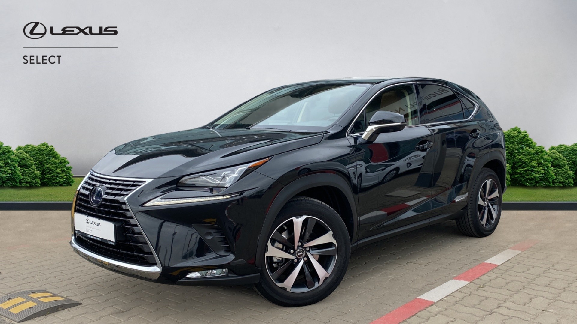 😊 Lexus NX