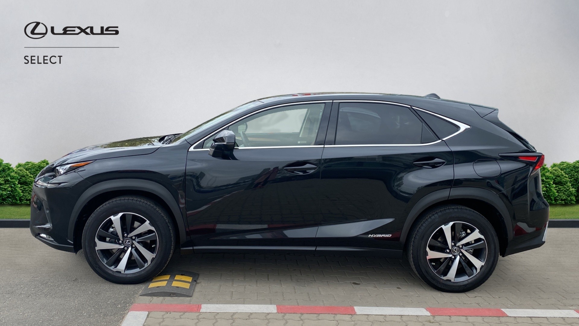 😊 Lexus NX