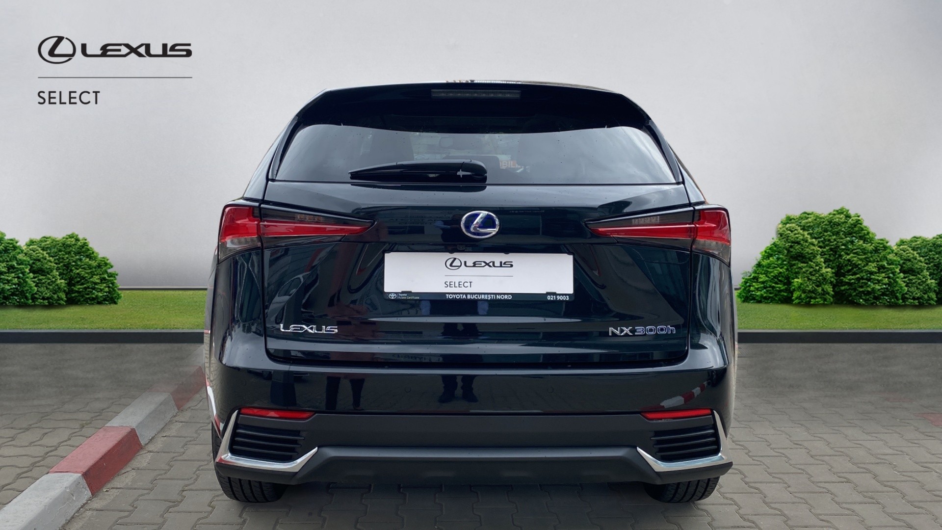 😊 Lexus NX