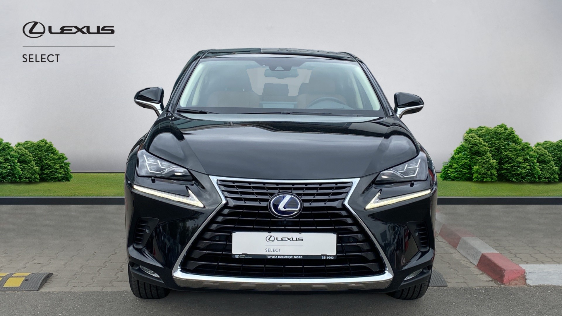 😊 Lexus NX