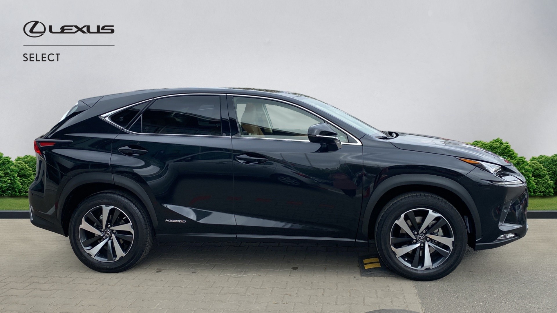😊 Lexus NX