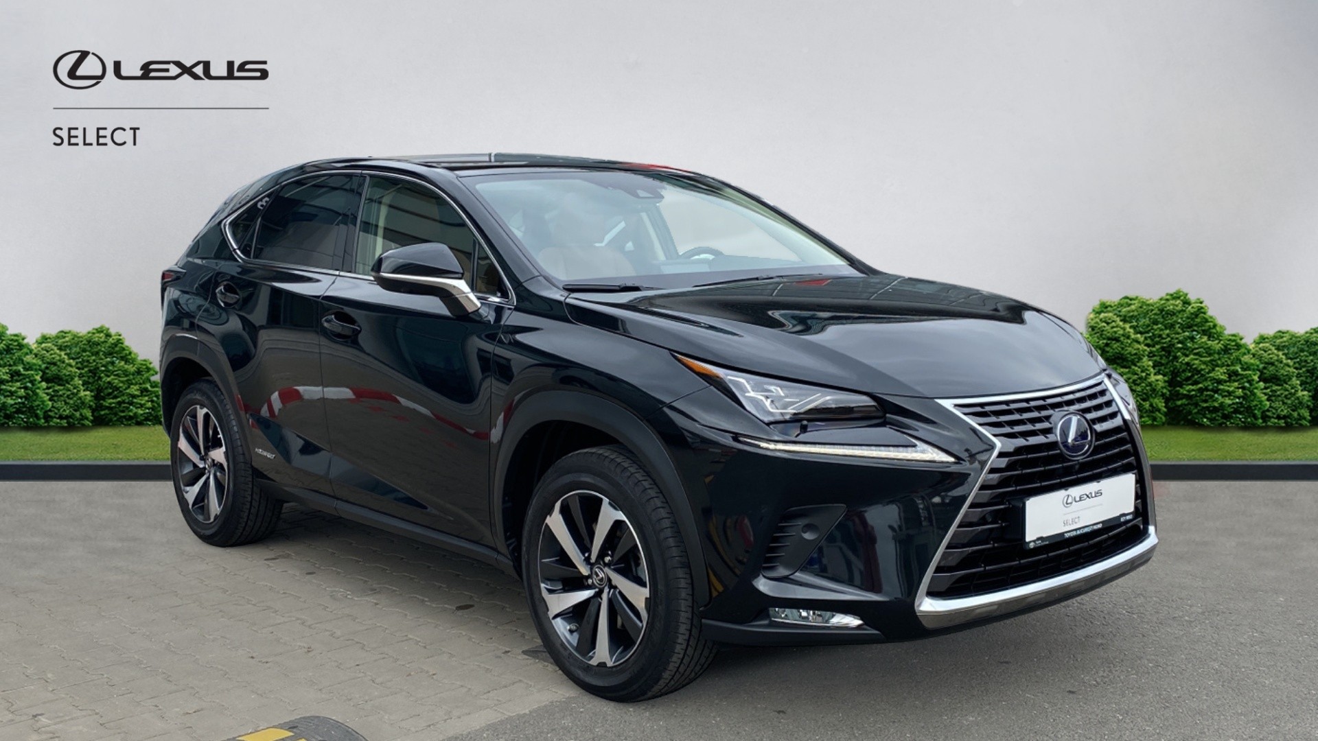 😊 Lexus NX