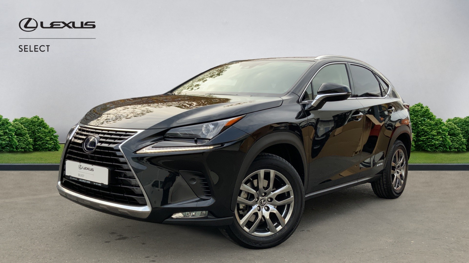 😊 Lexus NX