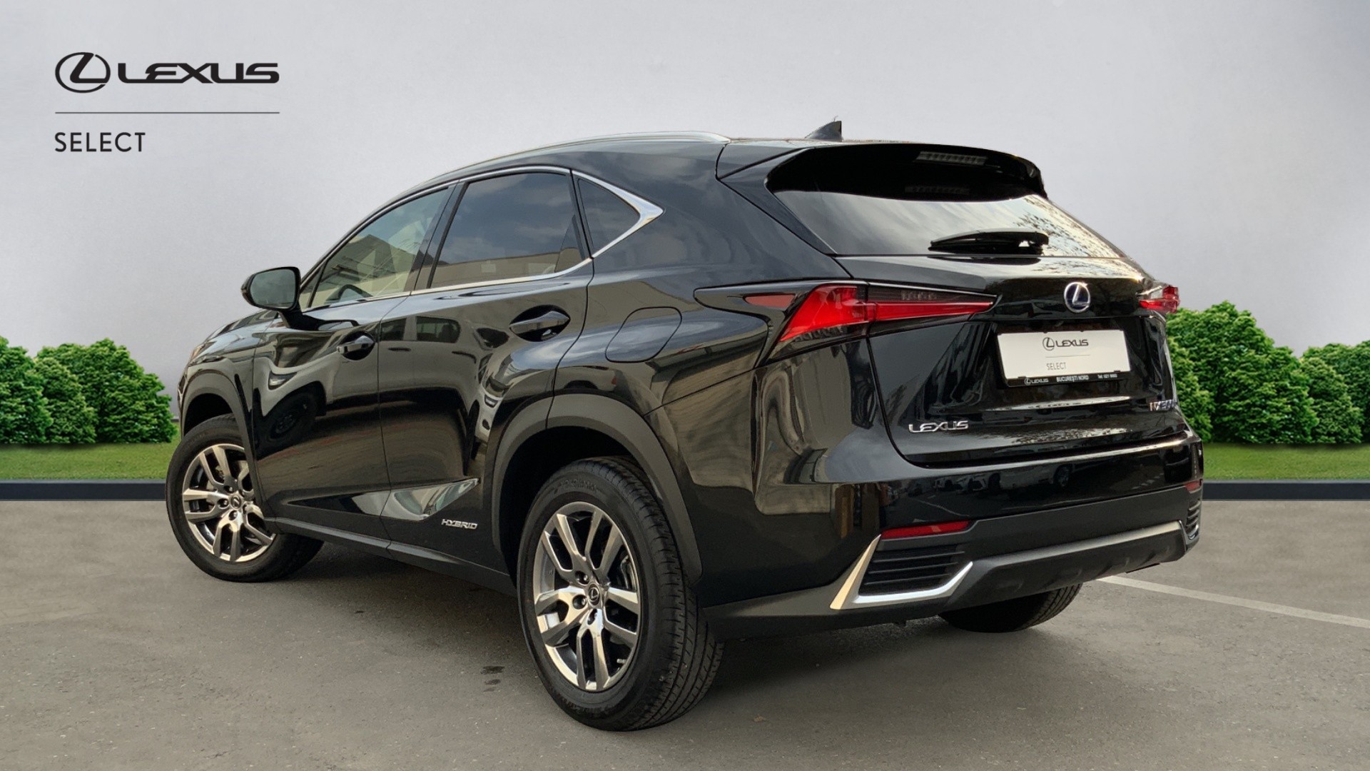 😊 Lexus NX