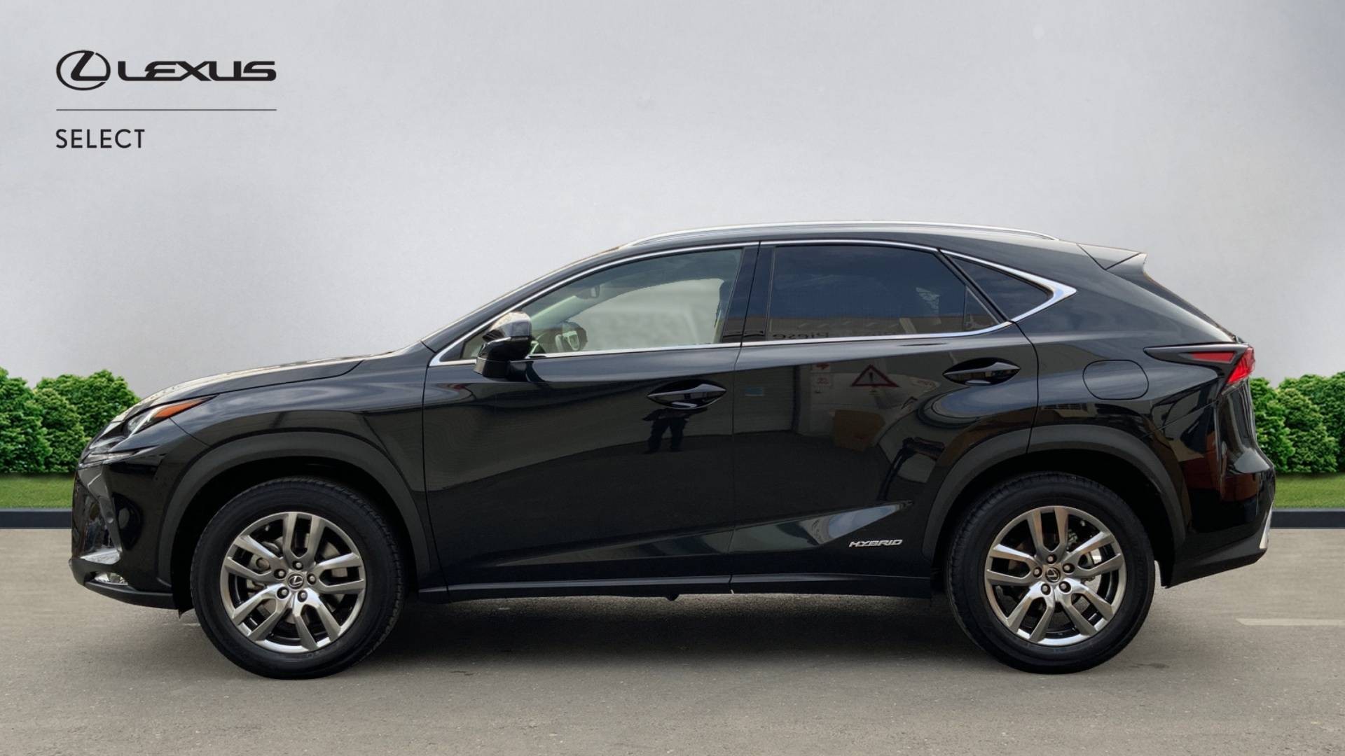 😊 Lexus NX