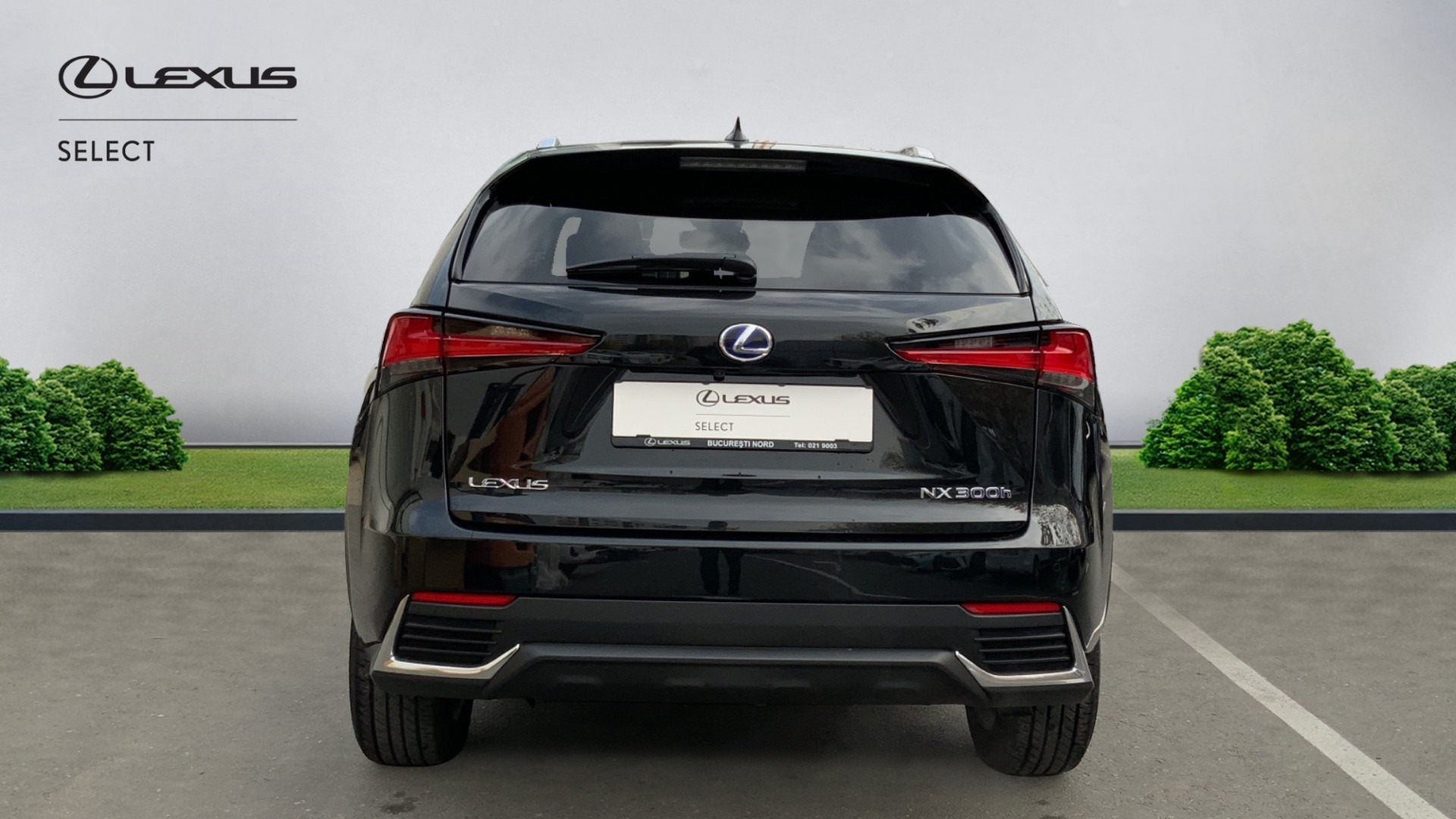 😊 Lexus NX