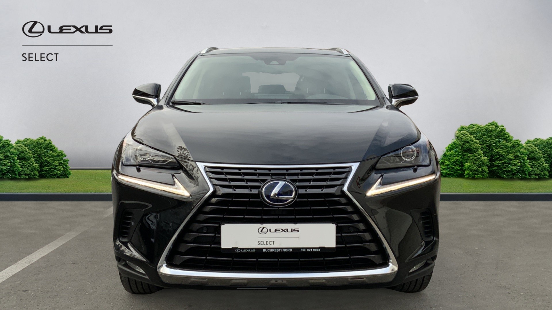 😊 Lexus NX