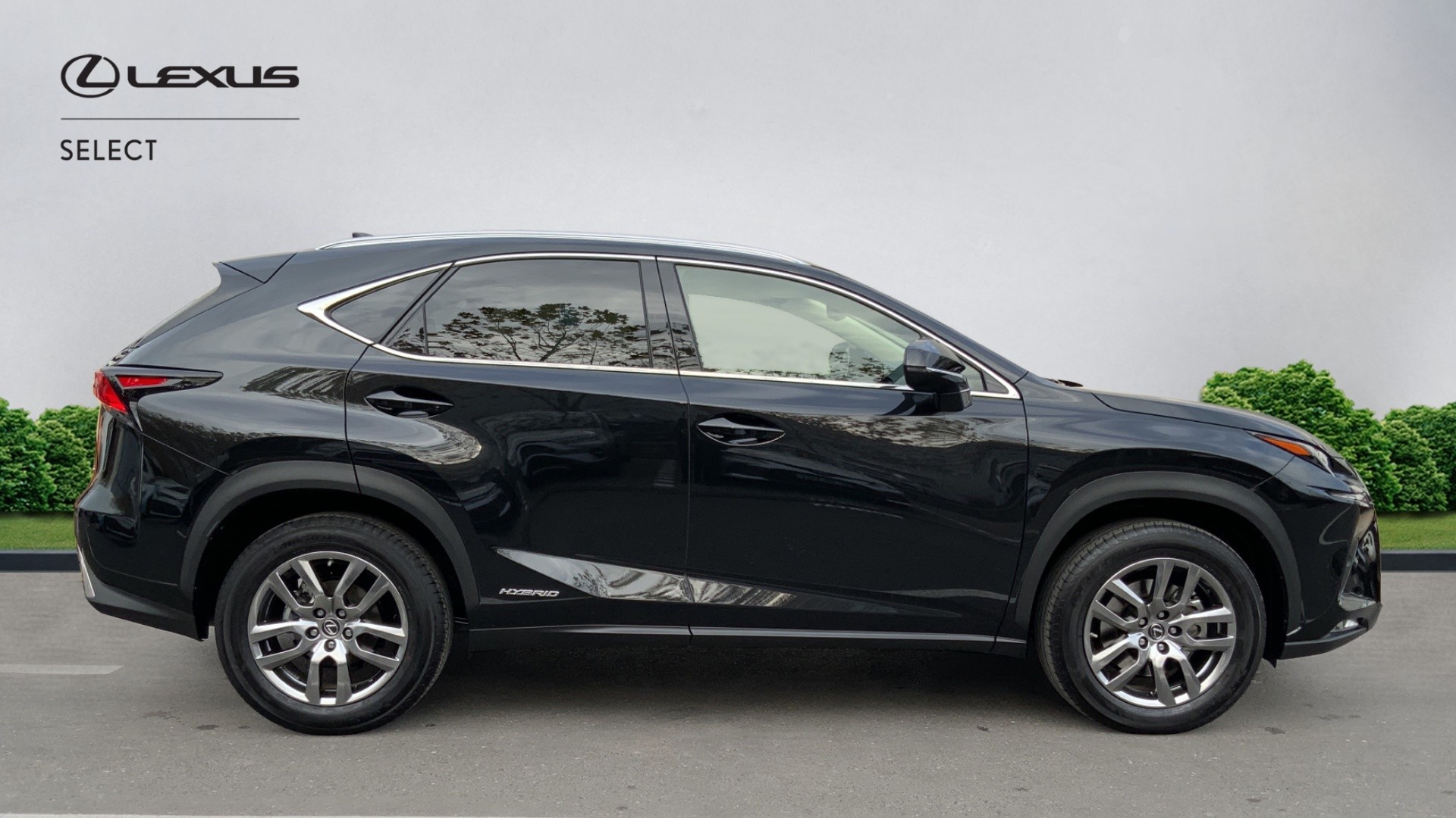 😊 Lexus NX