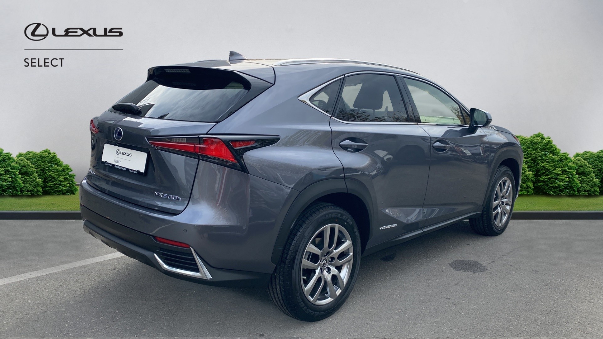 😊 Lexus NX