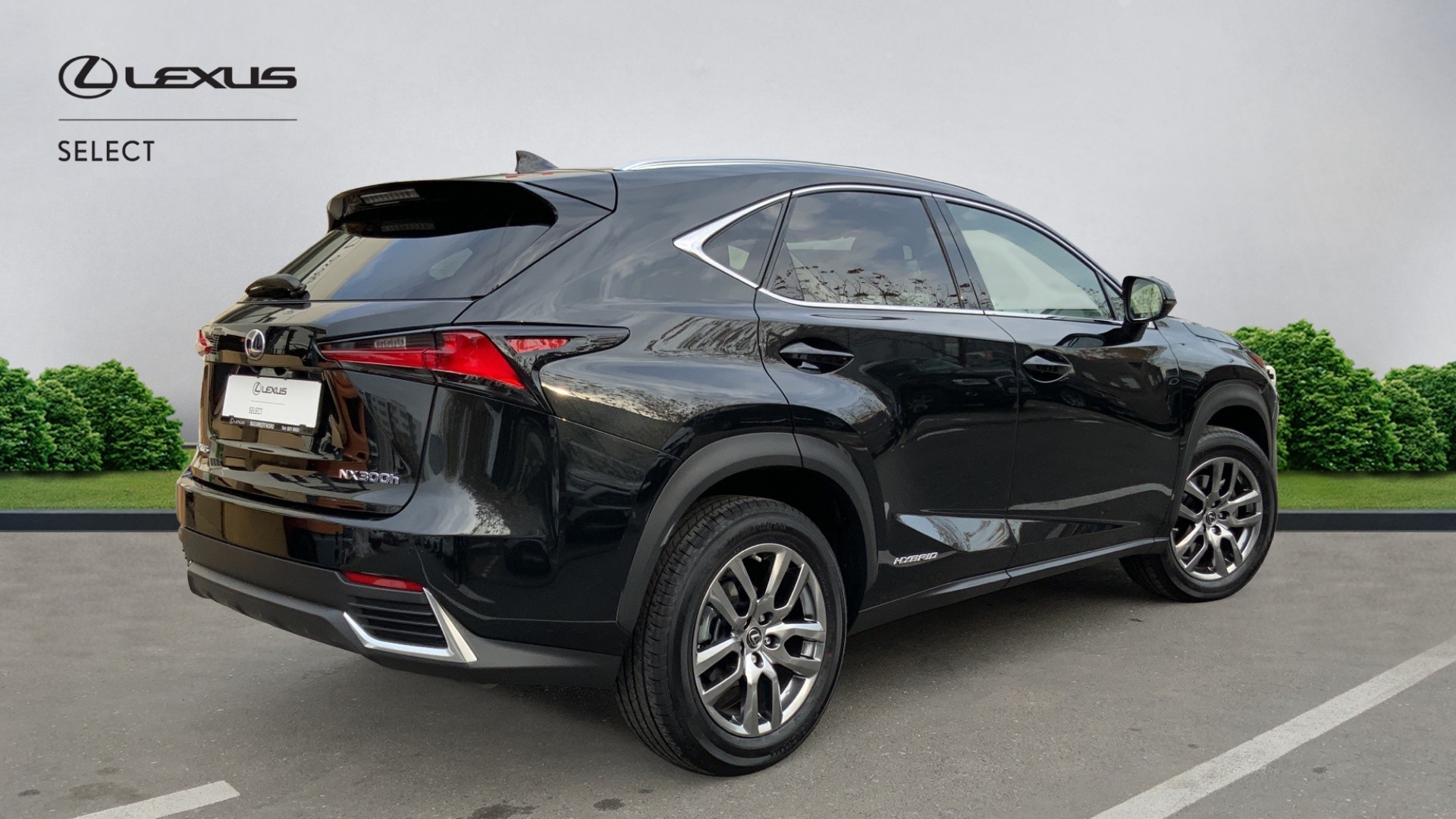 😊 Lexus NX