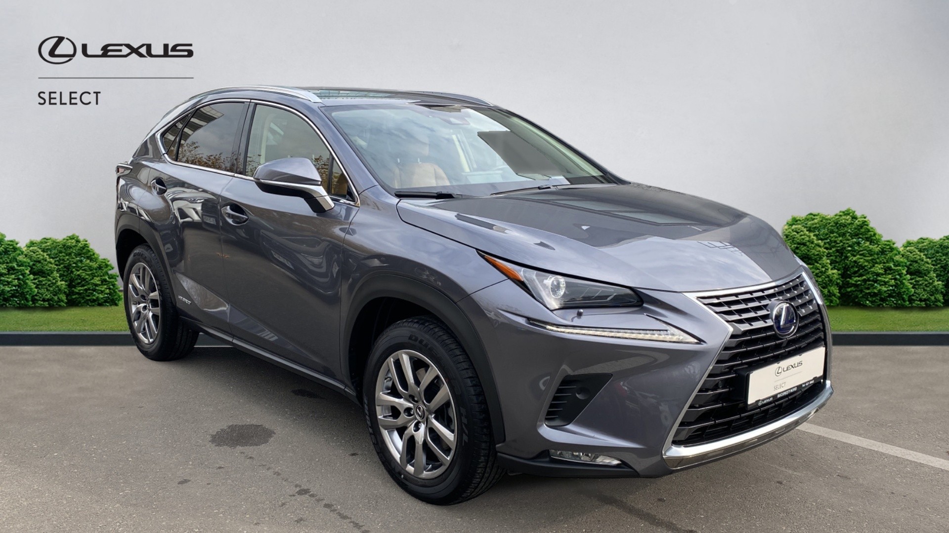 😊 Lexus NX