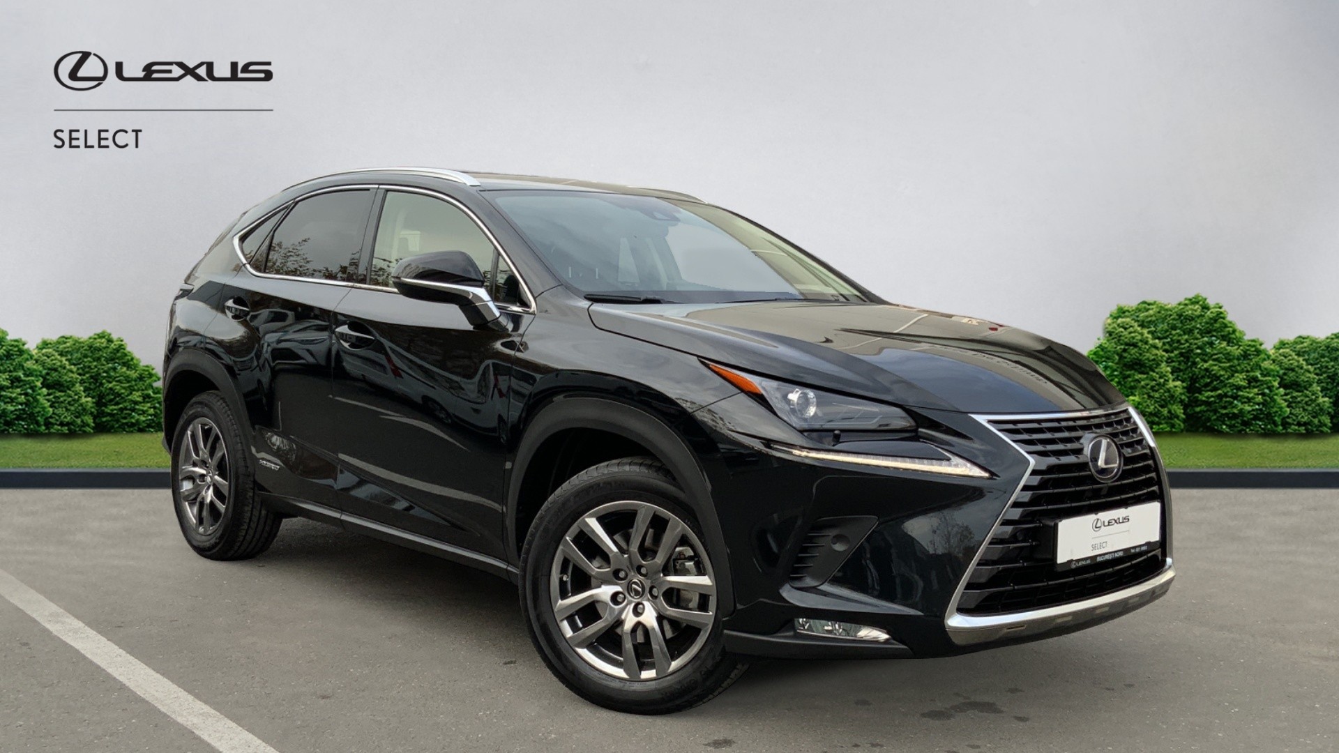 😊 Lexus NX